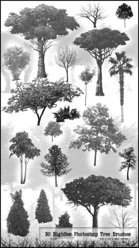 Brushes for Photoshop trees, shrubs - 30 May 2010 - Style, Brushes ...